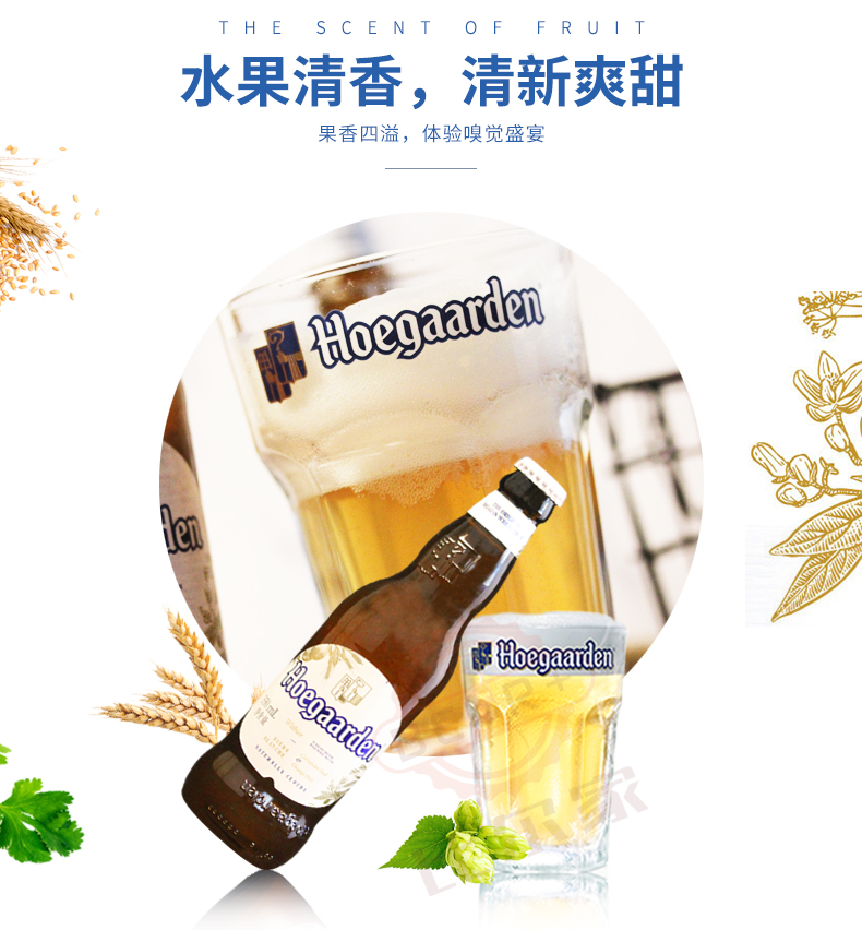 Hoegaarden 福佳比利时啤酒品牌 精酿啤酒瓶装