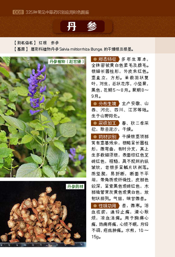 325种常见中草药识别应用彩色图鉴 9787122234544