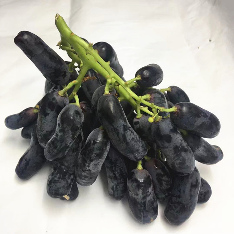 甄奇异 美国品种金手指黑提葡萄新鲜水果 1kg_ 5折现价169元