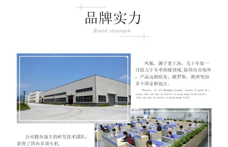 凤凰暖手宝 卡通电热宝 12V安全低压 电暖抱枕靠枕 小黄人