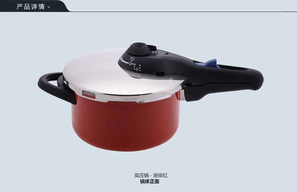 Kochstar考斯达 德国进口珐琅搪瓷压力指示器高压锅 4.5L 22cm 珊瑚红