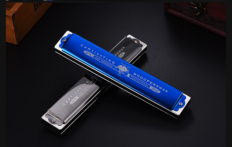 天鹅(swan) 24孔特级复音c调口琴 高级成人演奏口琴 24孔签名款口琴