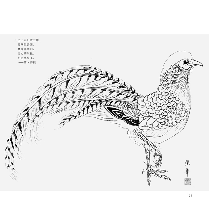 新华书店 传统线描技法详解 白描锦鸡画法 9787539853468 张华 安徽