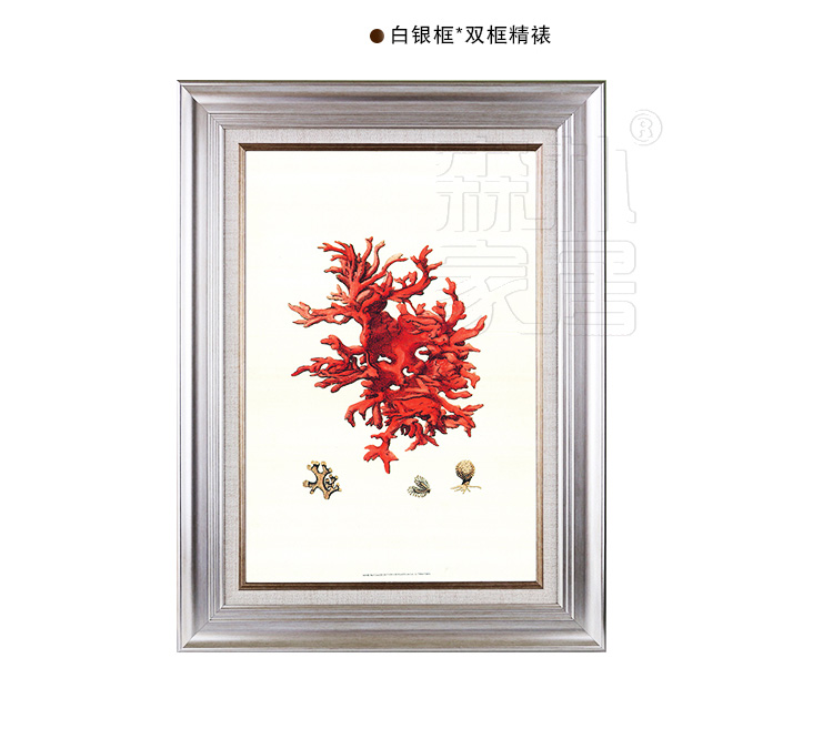 
                                        森朴 欧式有框画简欧简约客厅沙发背景墙装饰画 美式现代挂画书房壁画红色珊瑚 白银框ACD3件套 45*60                
