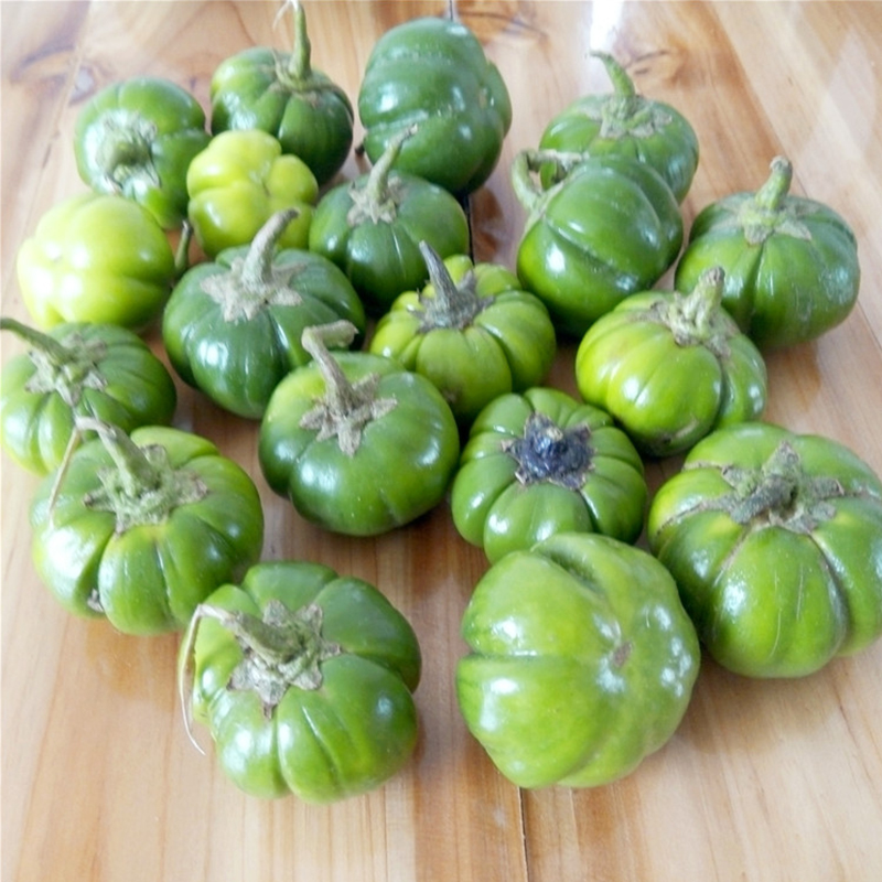 云南德宏特色苦子果 苦茄洋苦子小茄子 少数民族蔬菜生鲜 3斤 生鲜 3