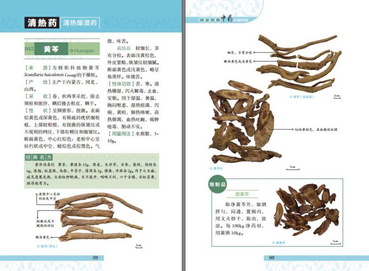 [fl]國家藥典中藥識別圖鑑-林餘霖-福建科技出版社