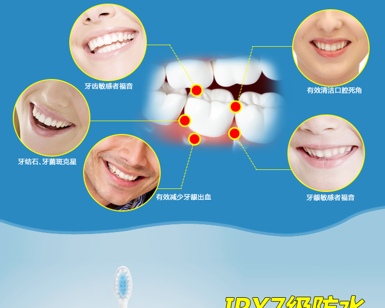 
                                                            【领劵下单立减20元】赛嘉（seago） 电动牙刷家用成人自动声波震动牙刷软毛情侣款 亲民款（5个刷头）                