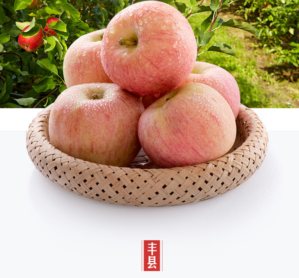 红富士苹果1.5kg 约80-85mm 当季新鲜水果大沙河特产_现价-1元