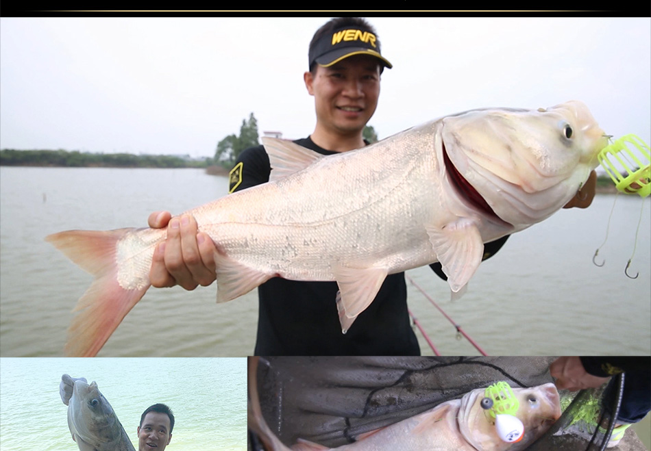 威娜钓具 熊爪水怪鲢鳙钓笼荧光 夜光电子漂pe钓笼套装伊势尼歪嘴钩