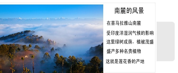 
                                        瓦纳（vanare） 线香 菩提叶 礼佛香-印度香 棍香 杜松                