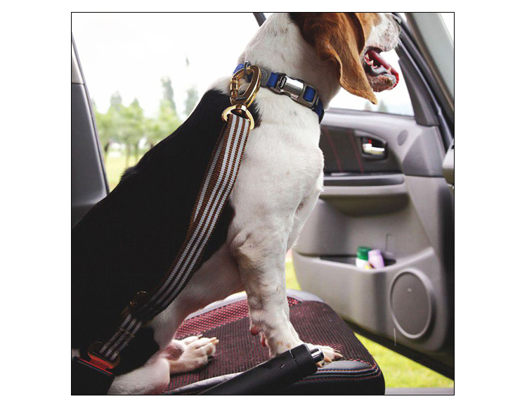dogness宠物牵引 多尼斯车载可调节安全带 猫狗车载安全带 牵引绳