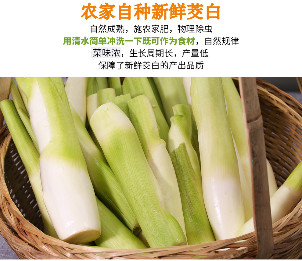 【京鲜达】农家 茭白 高笋 茭瓜 高笋 新鲜蔬菜 5斤【图片 价格 品牌