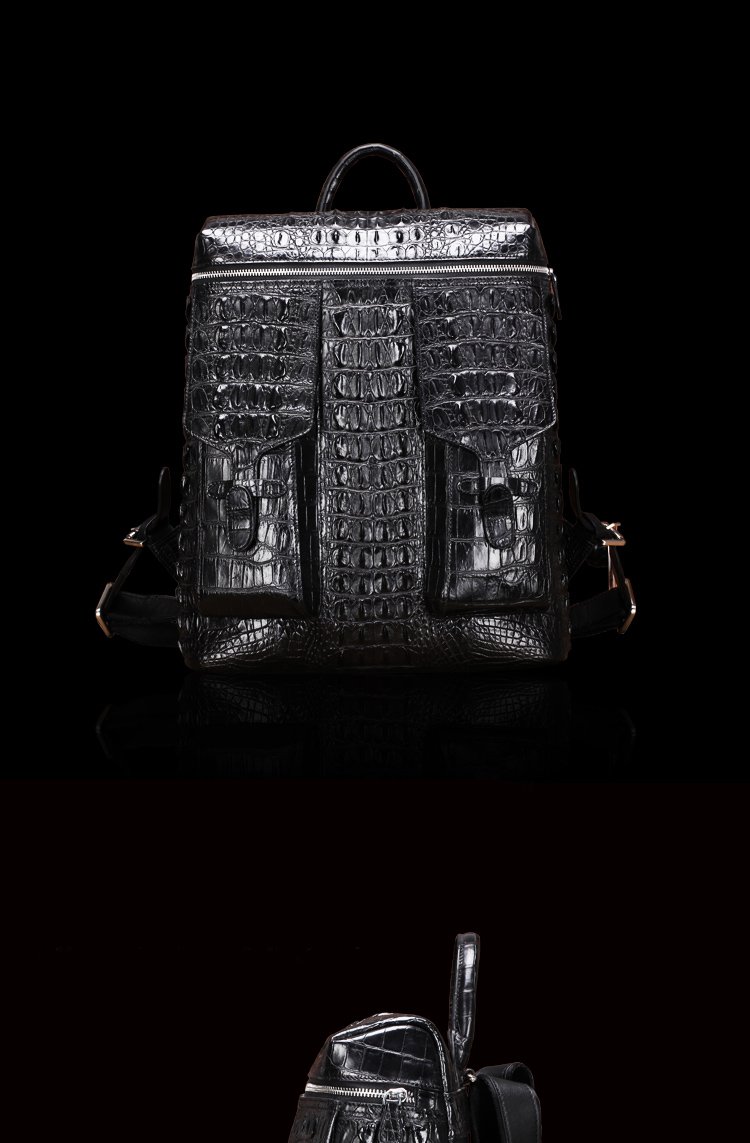 cathyladi 卡丝拉狄 鳄鱼皮双肩包 男士商务双肩背包电脑包真皮大容量