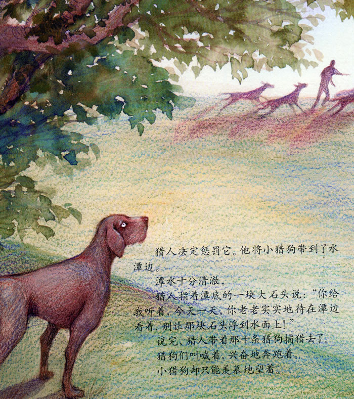 曹文轩纯美绘本 罗圈腿的小猎狗