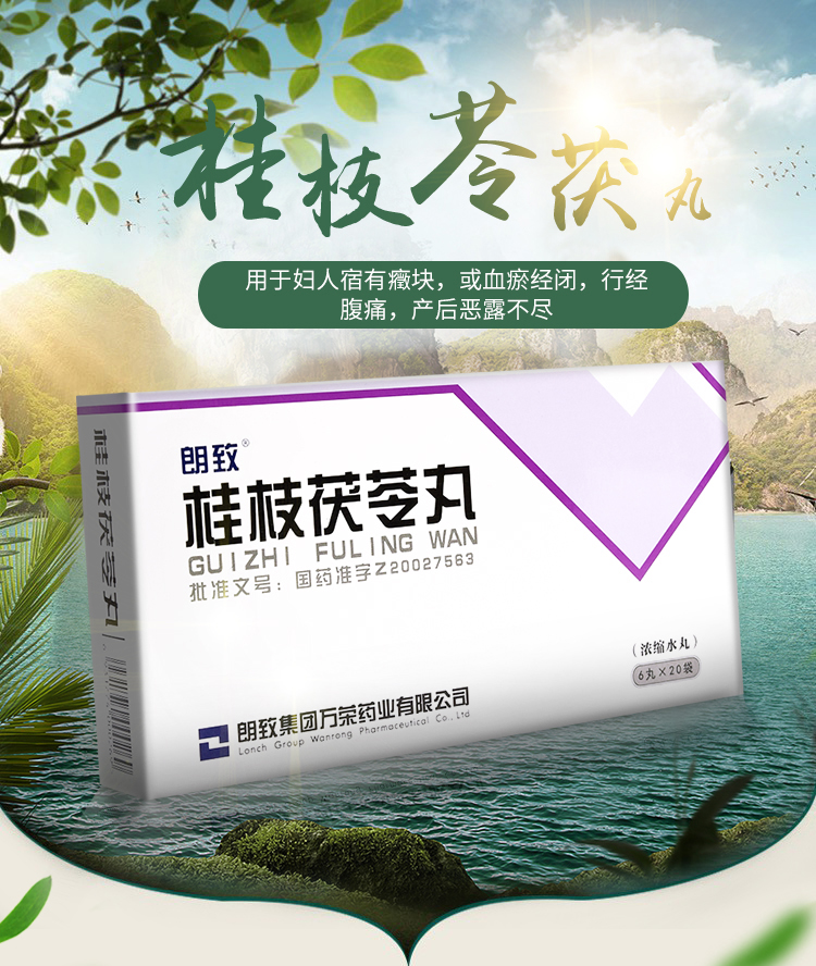 朗致桂枝茯苓丸浓缩水丸6丸20袋1盒装