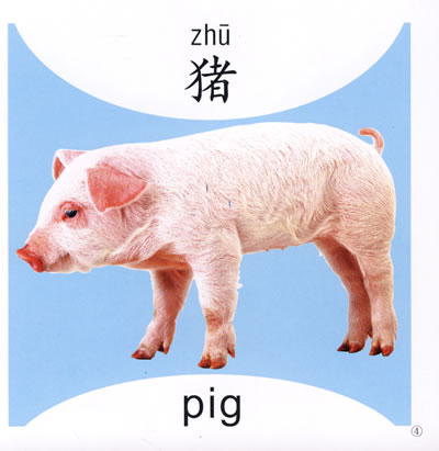 生动的介绍,配上动物的中,英文名称,让幼儿在认识动物的过程中学习