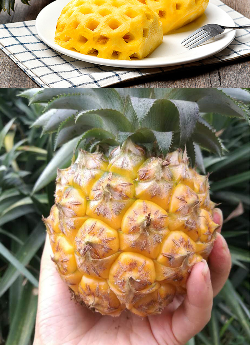 海南三亚香水小菠萝2.5kg 新鲜热带凤梨水果