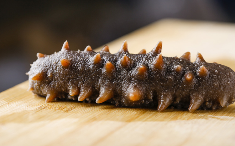 皇纯 淡干海参 1只 4g 自营海鲜