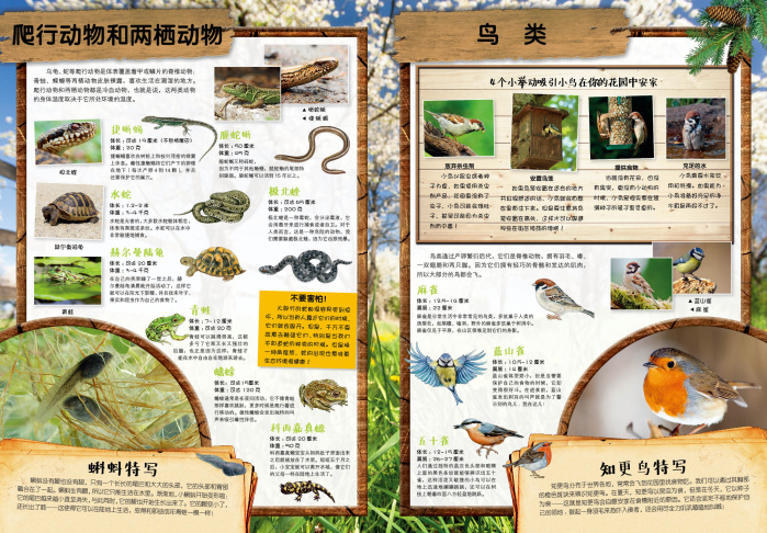 花园/动物王科普贴纸书 皮寇利亚出版社,朱蔚冰