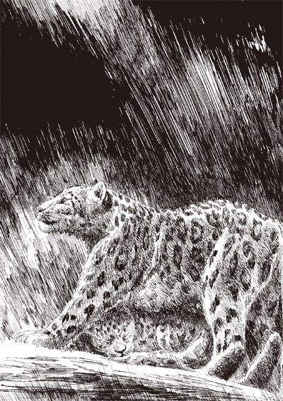 沈石溪动物小说 感悟生命书系 雪域豹影