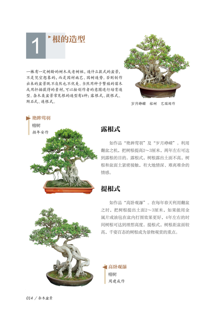 作者介绍 暂无 文摘 暂无