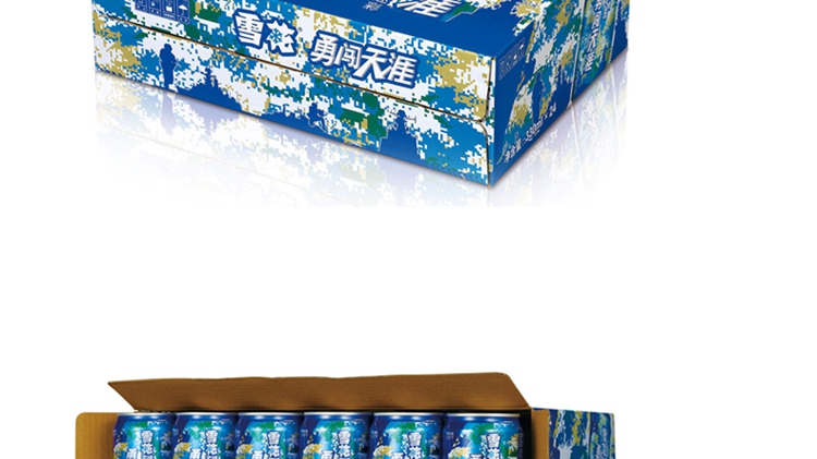 主体 类别 黄啤                      雪花海洋迷彩9度330ml 24听