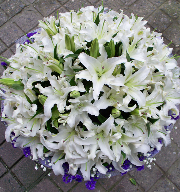 款式八:99朵白色香水百合,满天星,黄莺点缀,褐色手揉纸圆形折角包装