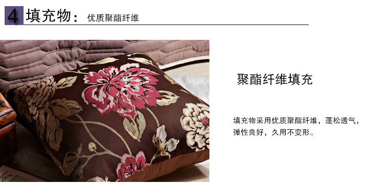 
                                        蓝蜗牛仿真丝抱枕沙发靠垫腰办公室汽车靠枕含芯一只咖啡色60*60cm咖啡色 咖啡色 60cm*60cm                