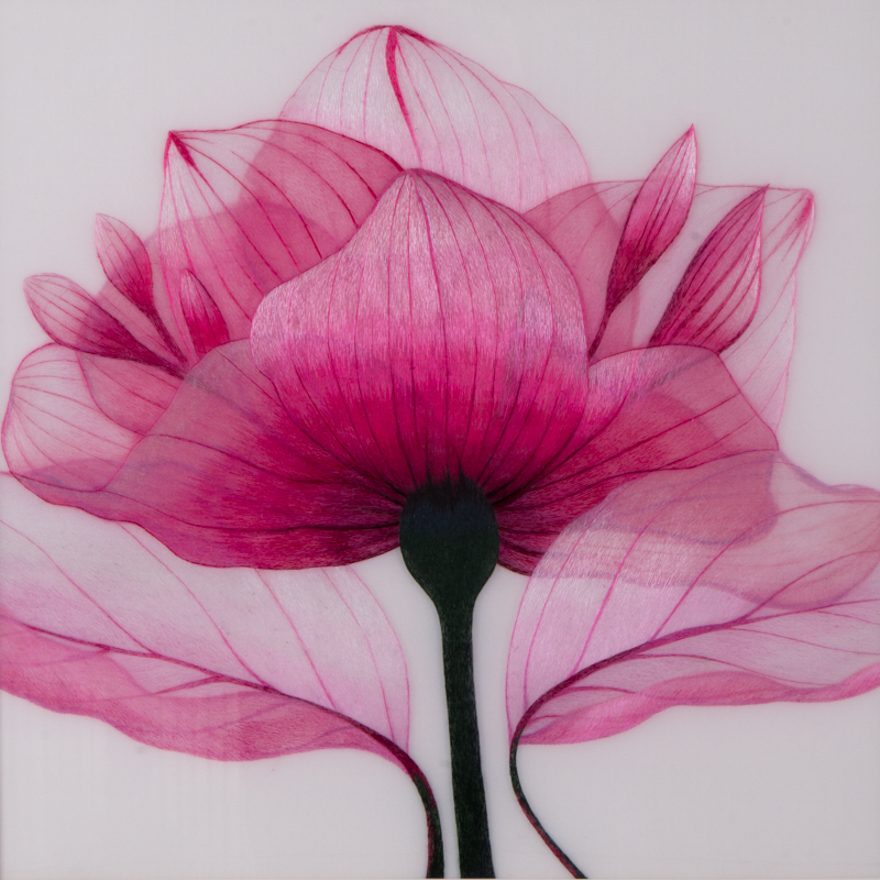 中级美术师卢宝棋苏绣真丝《木棉花》平针绣 【天工艺品】