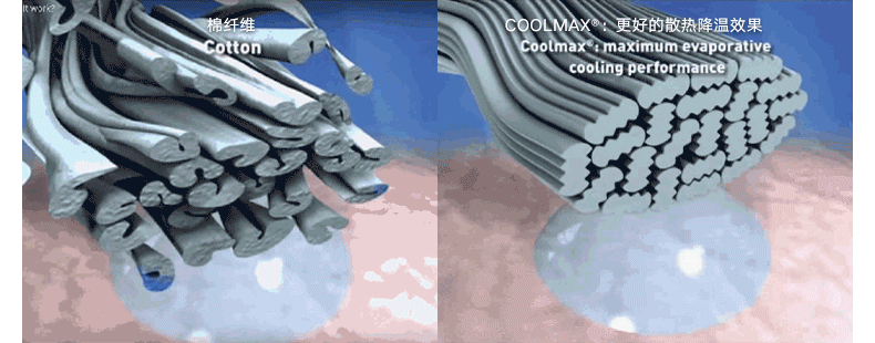 790_310gif 动态图 动图