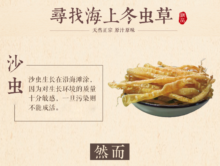 采小海湛江沙虫干沙肠子100g已去沙袋生晒全淡干海虫子沙虫干100g