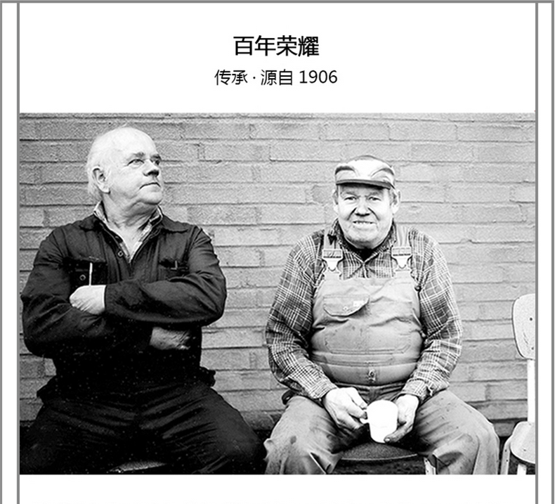 
                                        【瑞典进口】斯肯特 炒锅铸铁锅 无涂层物理不粘锅无油烟锅 平底炒菜锅具32CM                