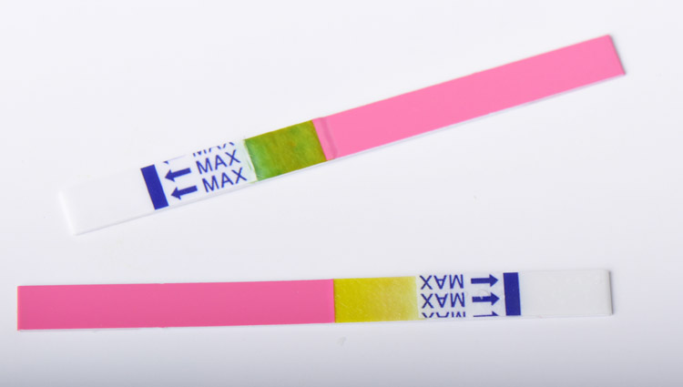 2,本产品为一次性使用产品. 3,本产品只适用于检测羊水.