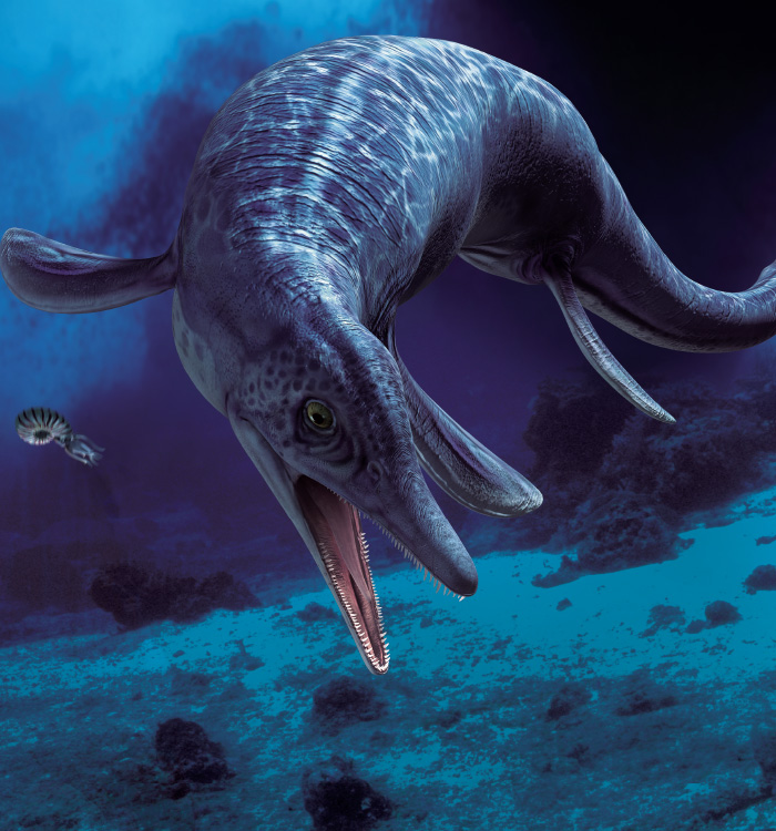 勇敢孩子的恐龙公园 三叠纪恐龙 9787557809522 吉林科学技术出版社