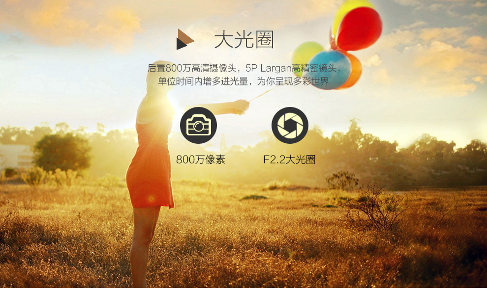 中兴（ZTE）N928DT 移动4G 智能手机 前黑后白