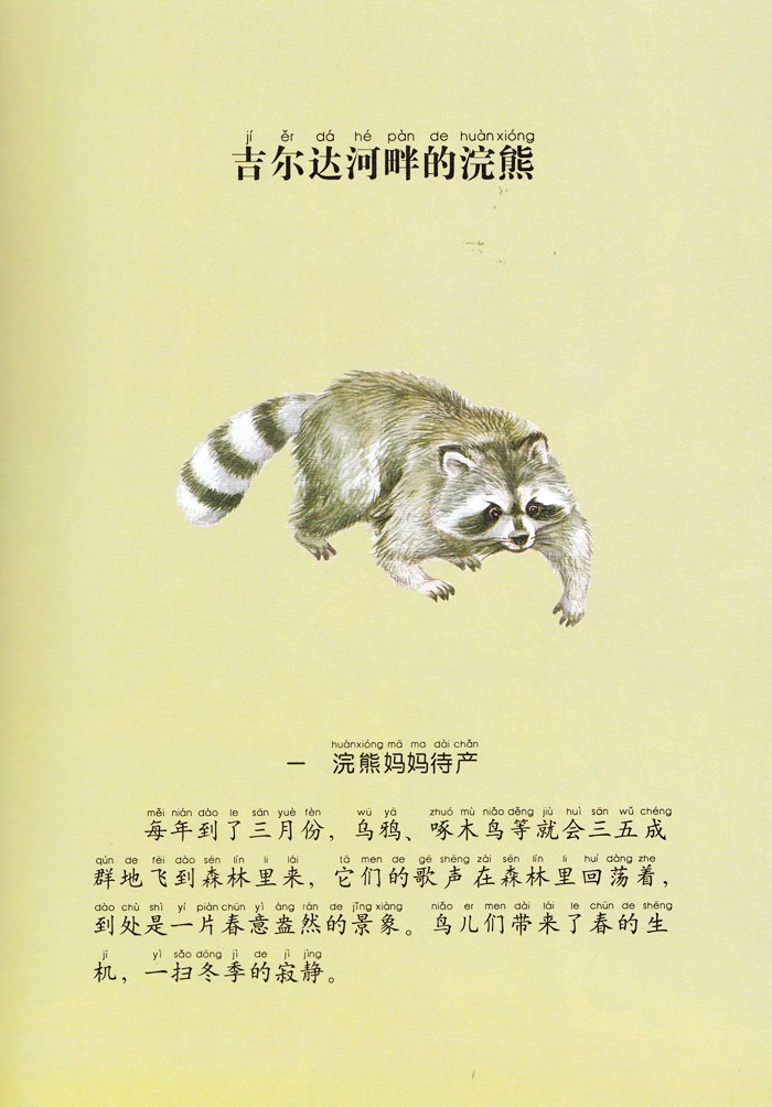 西顿动物小说全集(彩绘拼音版)——吉尔达河畔的浣熊