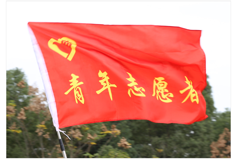左一仁 春亚纺中国青年志愿者旗帜 志愿者帽子徽章 马口铁胸徽{5个装}