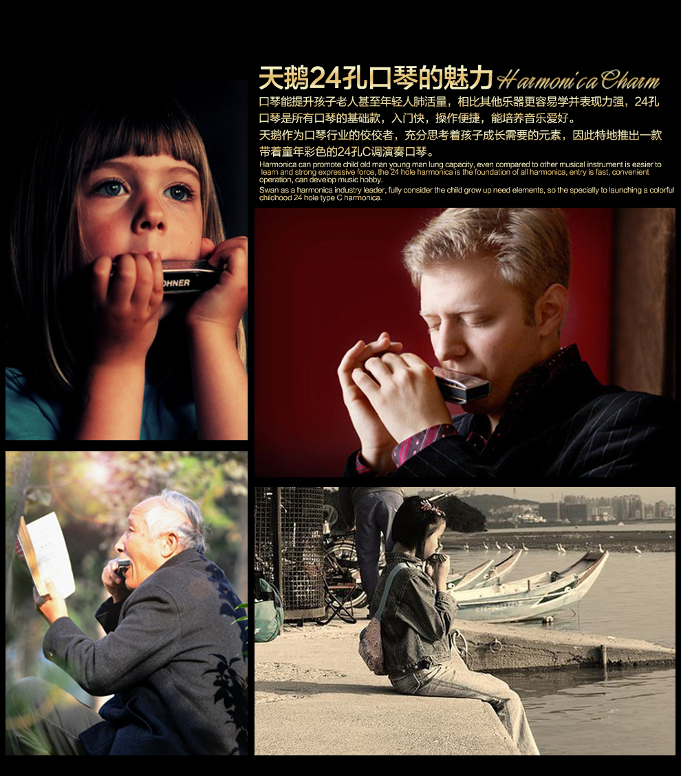 天鹅24孔复音口琴 c调 彩色演奏口琴 高雅黑 方形