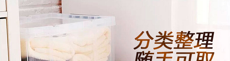 
                                        天马Tenma 透明塑料收纳箱车载储物箱劳克斯整理箱加厚收纳盒两个装 440M(21L两个装) 两个组合装                