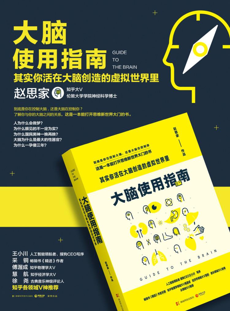 正版书籍 大脑使用指南