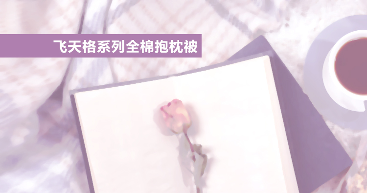 
                                        飞天 多功能靠垫被子两用纯棉 汽车抱枕 全棉小被子 办公室沙发靠枕 蔚蓝海岸                