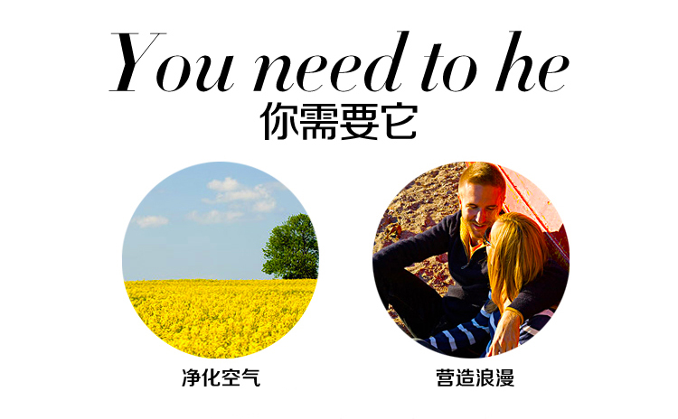 
                                        eyun无火香薰精油套装 房间香薰香氛 五色可选80ml 除臭净化空气 玫瑰-红色瓶                