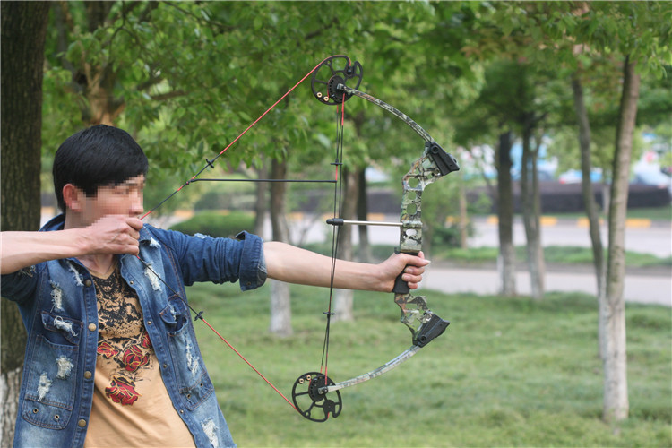 6磅 高强合金弓把,牢固,耐用; 百层碳,玻单项纤维模压弓片,受力弯曲