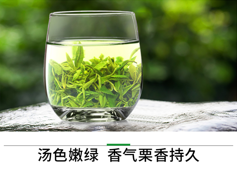 一杯香云雾绿茶零售价格