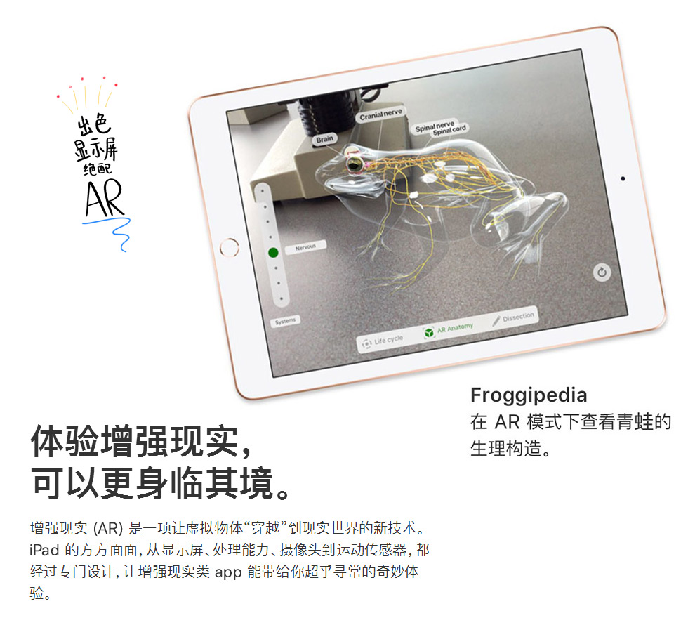 苹果 2018款 9.7寸IPAD 4G版 全网通 新品上市