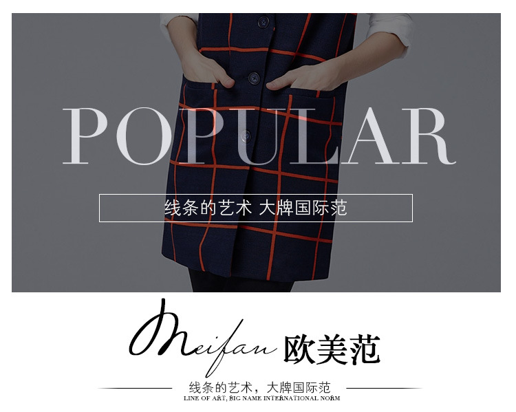 鸥水相依2015欧美大码女装胖mm秋冬新款格纹口袋翻领中长款马甲外套
