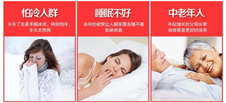 凤凰电热毯 床笠式电褥子智能调温电暖毯双人双控抗菌面料暖身毯 200cm*180cm