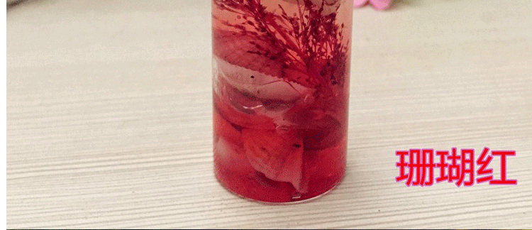 
                                        安礼轩贝壳香薰海洋果冻小蜡烛浪漫情人节 婚庆蜡烛杯 3x11cm珊瑚红  大号                