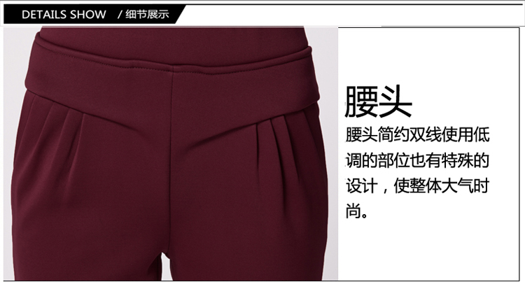 简迪卡 2015哈伦裤加绒加厚冬季新款女裤子女韩版大码显瘦小脚裤8835-1 黑色 L
