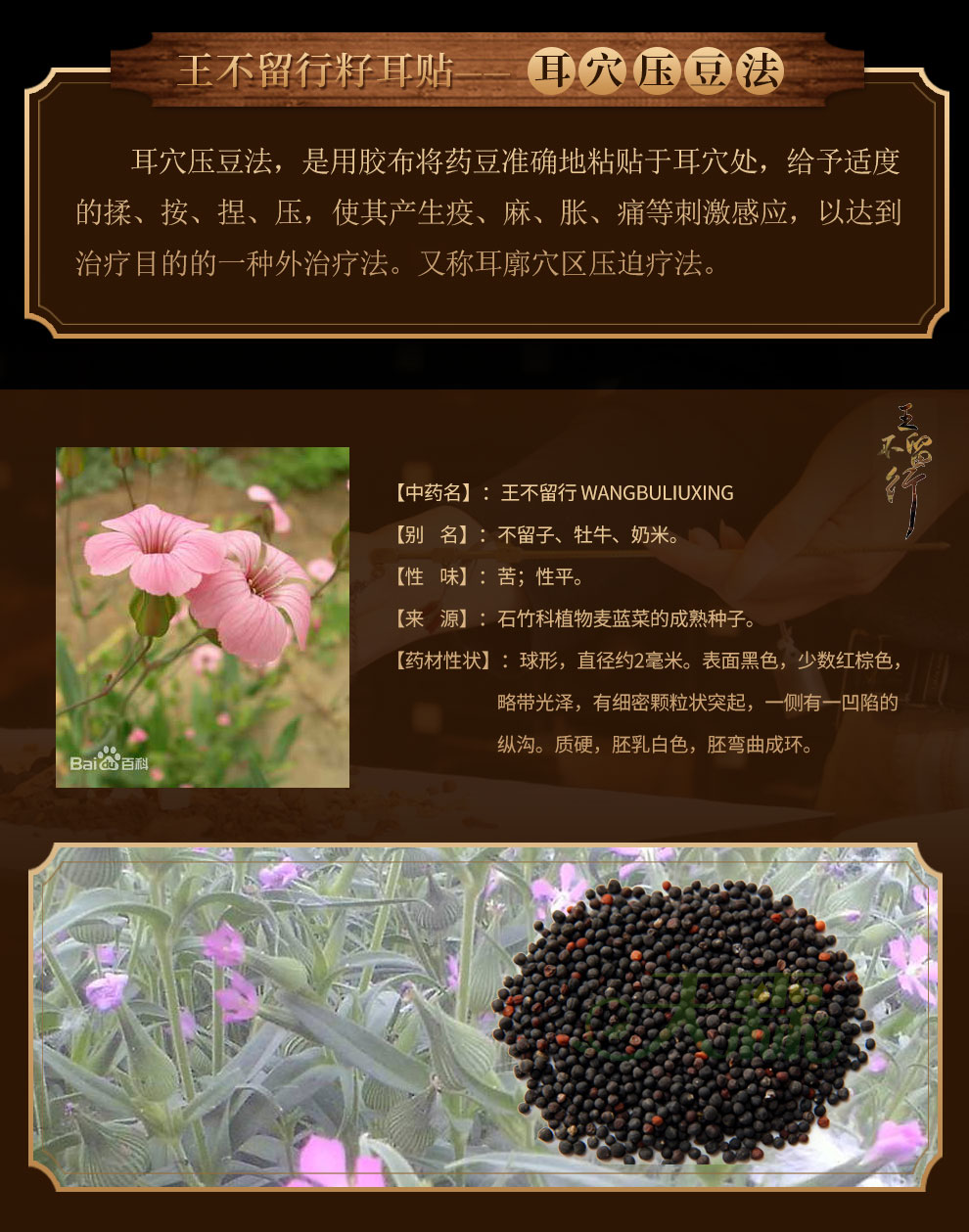 艾怡佳耳穴贴王不留行籽贴耳豆贴耳贴按摩贴耳穴位按压600贴王不留耳